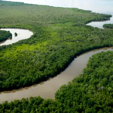 Biodiversity Protection