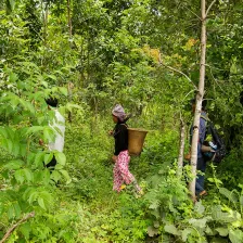 Livelihood Development