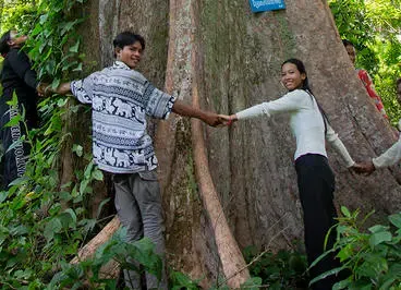 Sacred tree