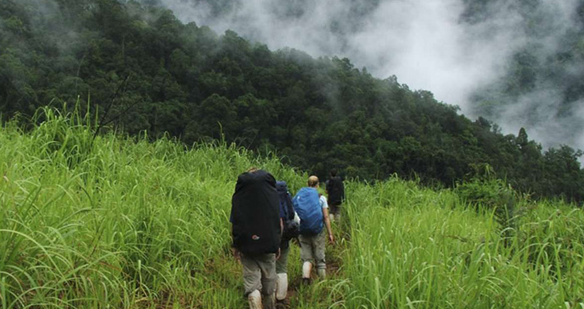 Climate resilient biodiversity landscape